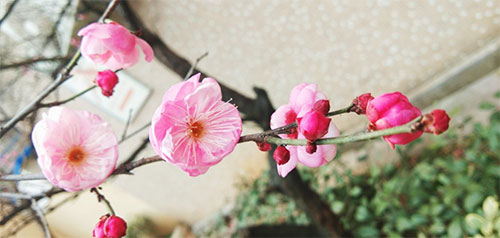 未标题-2.jpg