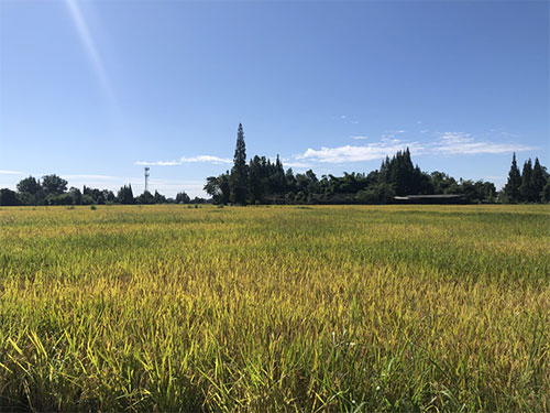 未标题-3.jpg