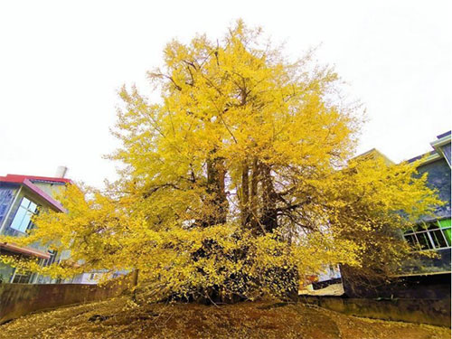 未标题-3.jpg