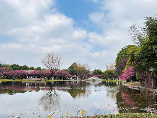 未标题-2.jpg