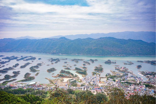 未标题-5.jpg