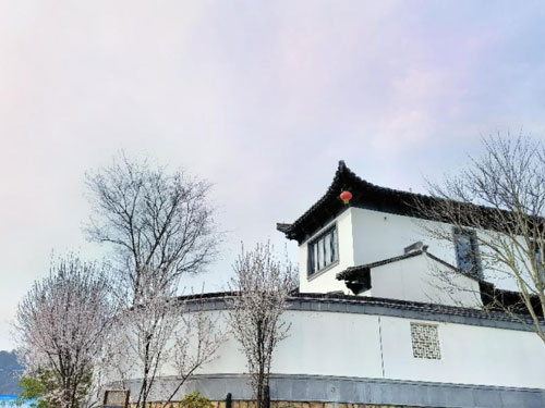 未标题-3.jpg