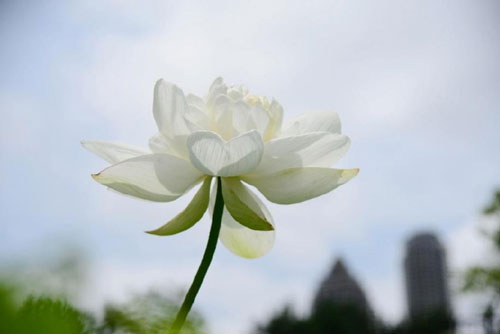 未标题-3.jpg