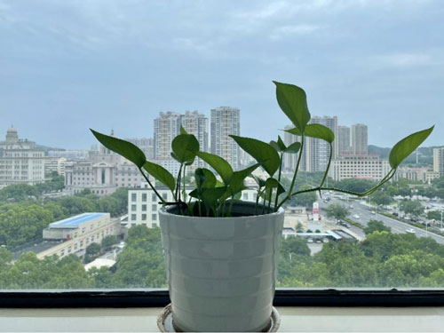未标题-3.jpg