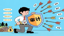 审计：忠诚卫士