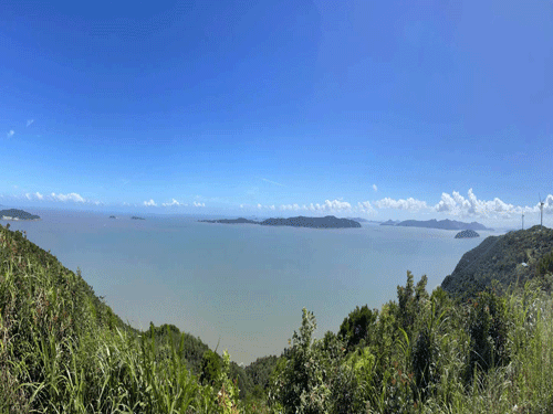 W020250916375937039445-500.gif