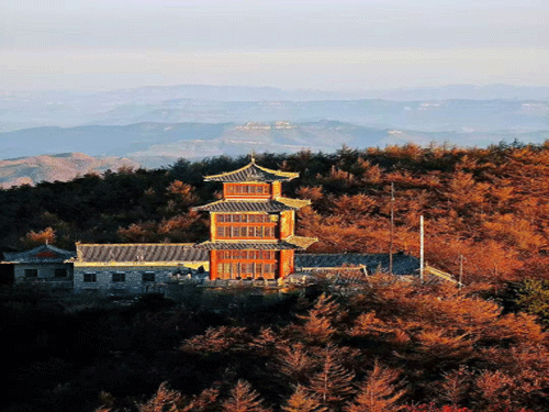 丹枫燃尽千山色，古阁凌霄望雁斜（摄影作品）