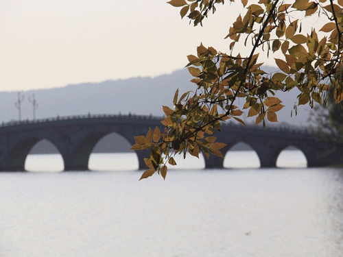 摄影——冬枝窥湖