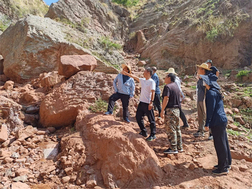 云岭逐光丨云南省楚雄彝族自治州禄丰市审计局李洪平：立足岗位勤奉献 勇于担当善作为
