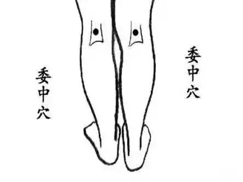 今日大寒，三忌，三宜，三秘诀，过好冬季最后15天！