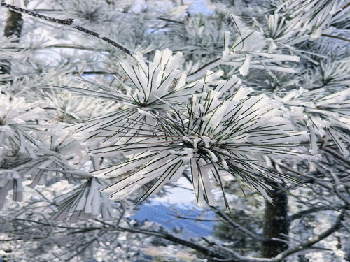 一夜霜华，满目琉璃