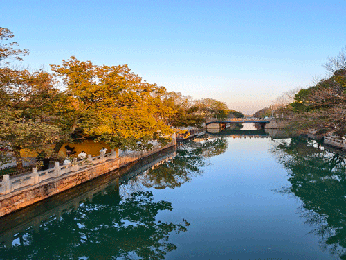 树影横溪渡石桥