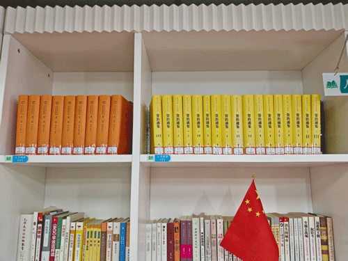 “马”上读经典 新春增智韵 ——宁夏回族自治区审计厅文化书屋精品图书上架喜迎马年新春