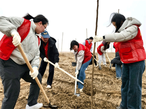 山东省东营市审计局开展2026年义务植树活动