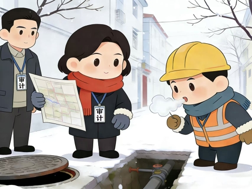 审计四季:一线小漫画